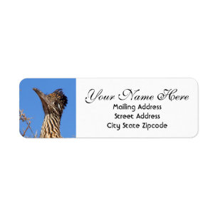 Roadrunner Head Return Adresse