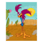 Roadrunner Head Tilted