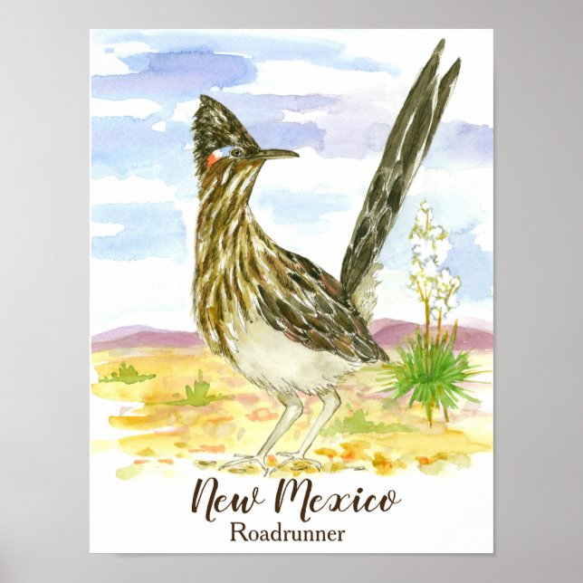 Roadrunner New Mexico State Bird Poster (Front)