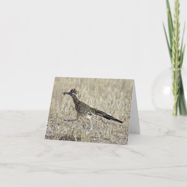 Roadrunner Photograph Note Card (Front)