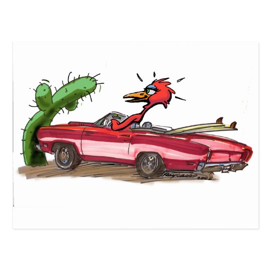 RoAdRuNNeR Postcard