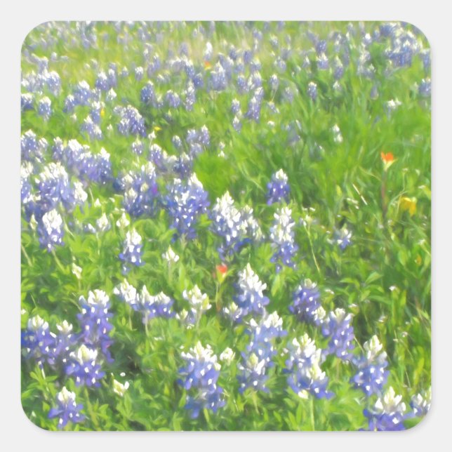 Roadside Bluebonnets Square Sticker (Front)