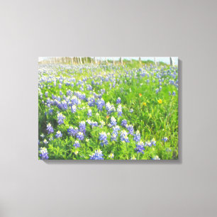 Roadside Bluebonnets Stretched Canvas