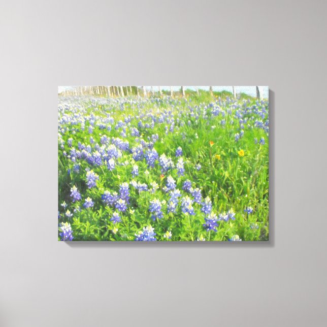 Roadside Bluebonnets Stretched Canvas Print (Front)