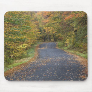 Roadside fall foliage, Southern Vermont, USA Mouse Pad