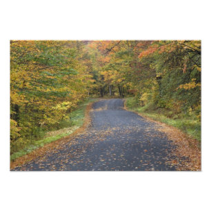 Roadside fall foliage, Southern Vermont, USA Photo Print