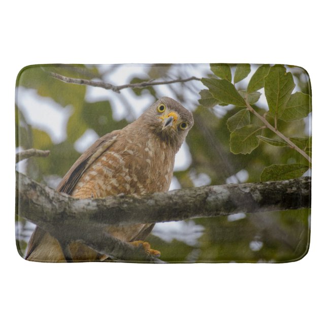 Roadside Hawk Belize Bird Photography Bath Mat (Front)