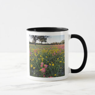 Roadside wildflowers in Texas, spring 3 Mug