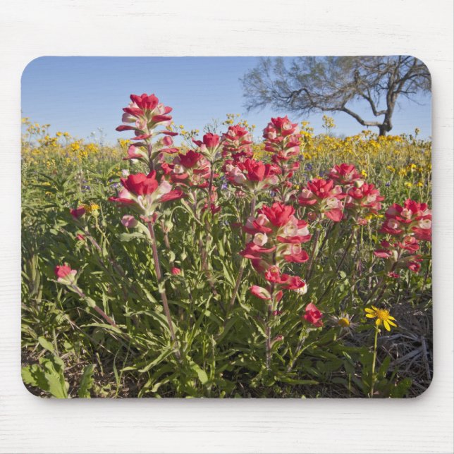 Roadside wildflowers in Texas, spring 4 Mouse Pad (Front)