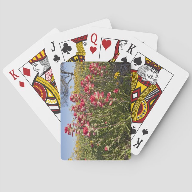 Roadside wildflowers in Texas, spring 4 Playing Cards (Back)