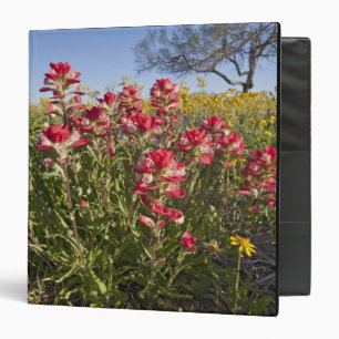 Roadside wildflowers in Texas, spring Binder