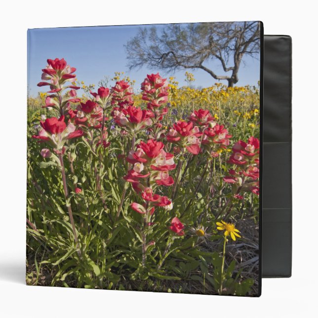 Roadside wildflowers in Texas, spring Binder (Front/Inside)
