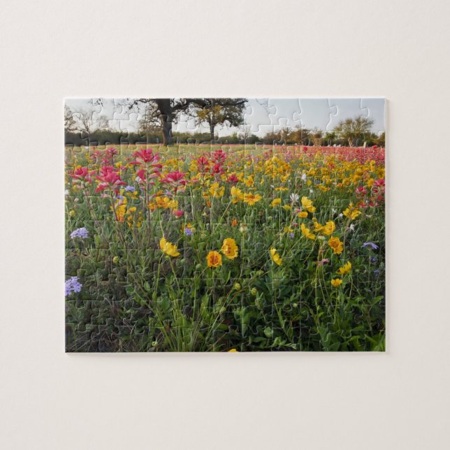 Roadside wildflowers in Texas, spring Jigsaw Puzzle (Horizontal)