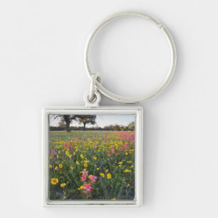 Roadside wildflowers in Texas, spring Keychain