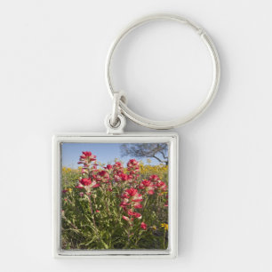 Roadside wildflowers in Texas, spring Keychain