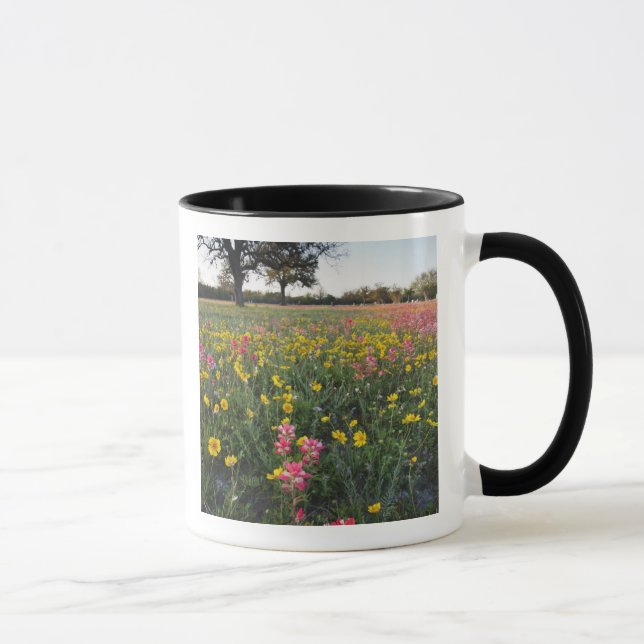 Roadside wildflowers in Texas, spring Mug (Right)