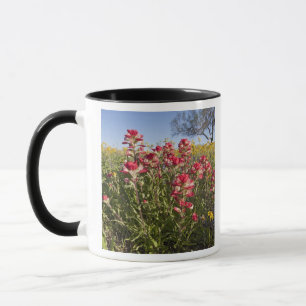 Roadside wildflowers in Texas, spring Mug