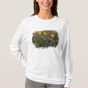 Roadside wildflowers in Texas, spring T-Shirt