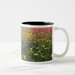 Roadside wildflowers in Texas, spring Two-Tone Coffee Mug