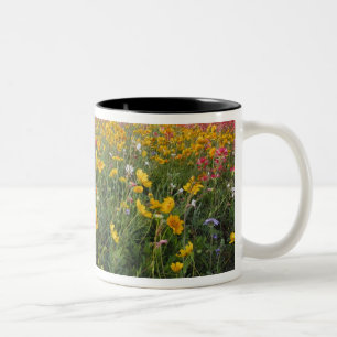 Roadside wildflowers in Texas, spring Two-Tone Coffee Mug