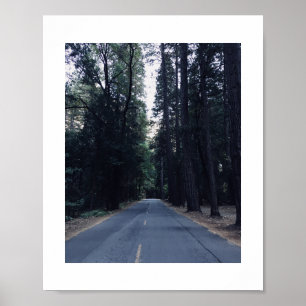 Roadside Wilds Yosemite Colour Photography Poster