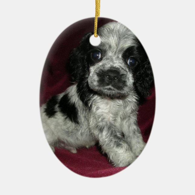 roan american cocker spaniel puppy, Apollo Ceramic Ornament (Front)