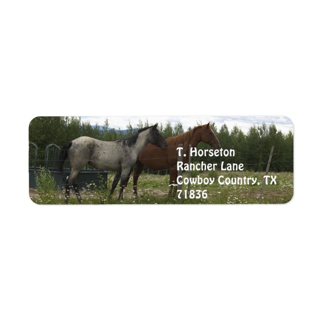 Roan and Appaloosa Address Labels (Front)
