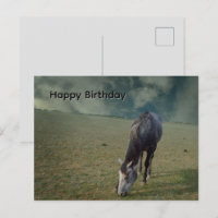 Roan Horse Grazing In Paddock, Birthday Postcard