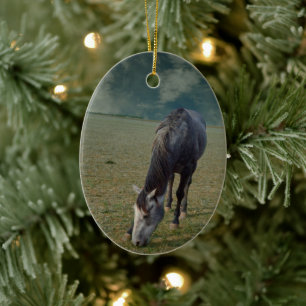 Roan Horse Grazing In Paddock Ceramic Ornament