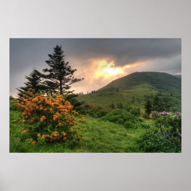 Roan Mountain Art Print (Front)