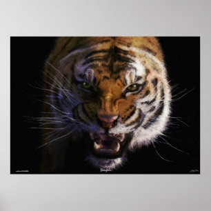 Roaring Bengal Tiger Fine Art Wildlife Poster