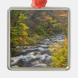 Roaring Brook in fall in Vermont's Green 2 Metal Ornament