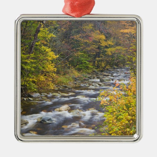 Roaring Brook in fall in Vermont's Green 2 Metal Ornament (Front)