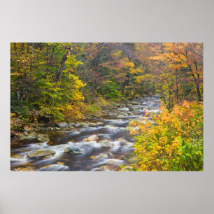 Roaring Brook in fall in Vermont's Green 2 Poster