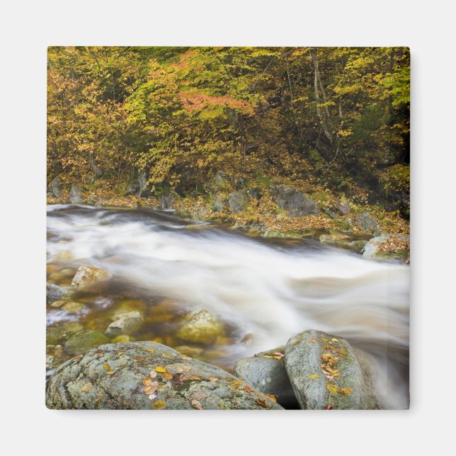 Roaring Brook in fall in Vermont's Green Magnet (Front)