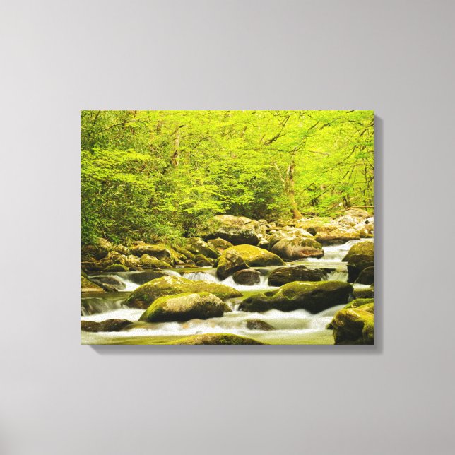 Roaring Fork in Spring Canvas Print (Front)