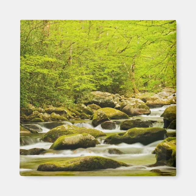 Roaring Fork in Spring Magnet (Front)