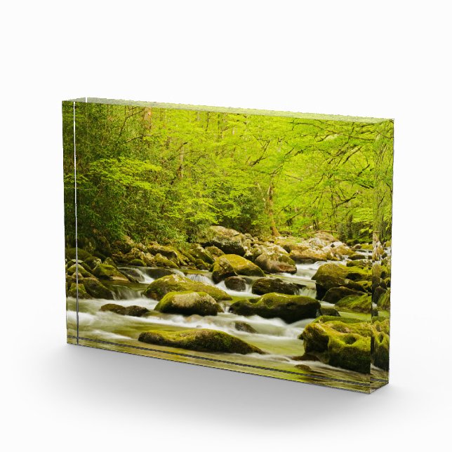 Roaring Fork in Spring Photo Block (Right)
