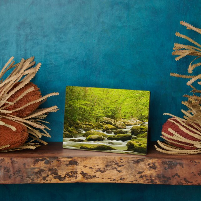 Roaring Fork in Spring Plaque (Side)