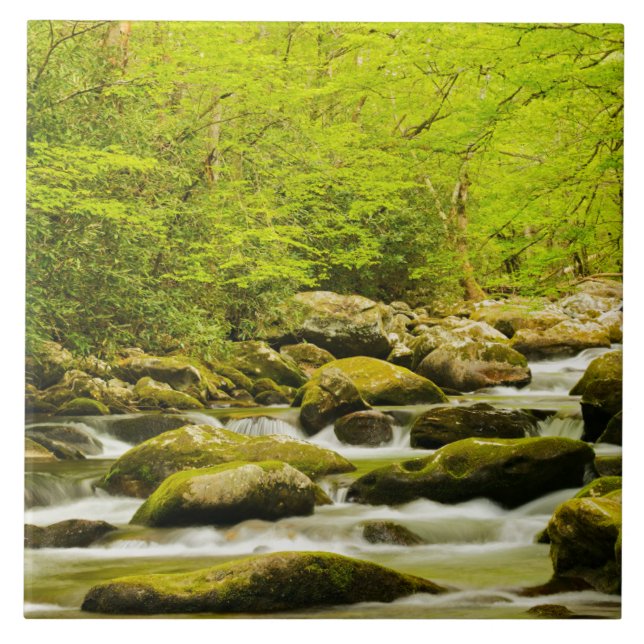 Roaring Fork in Spring Tile (Front)