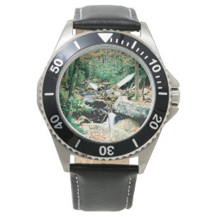 Roaring Fork Watch