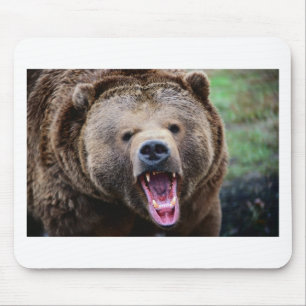 Roaring Grizzly Bear Mouse Pad