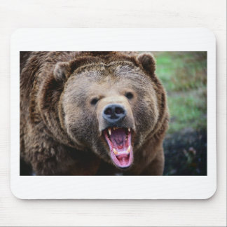 Roaring Grizzly Bear Mouse Pad