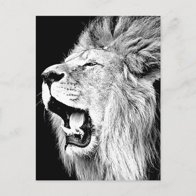 Roaring Lion Postcard (Front)