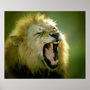 Roaring Lion Poster Print