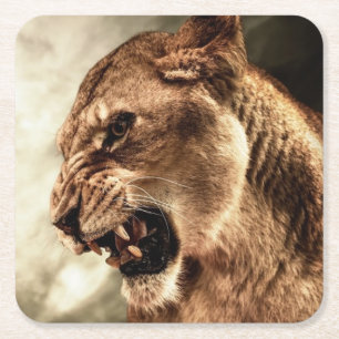 Roaring lioness against stormy sky square paper coaster