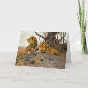 Roaring Lions   Wilhelm Kuhnert Card