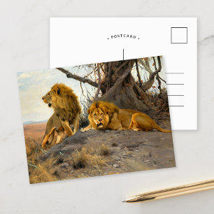 Roaring Lions Wilhelm Kuhnert Postcard