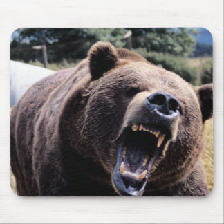 Roaring Teddy Bear Mouse Pad