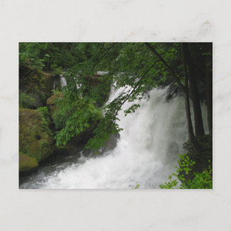 Roaring Waterfall Postcard